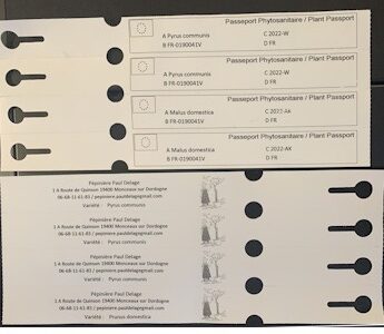 Impression RECTO/VERSO d’étiquettes passeport PHYTO