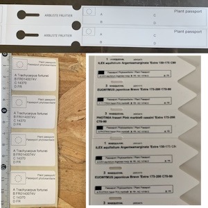 impression de passeports phytosanitaires – Transfert thermique